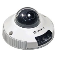Купить Купольная IP-камера Tantos TSi-DVm221F (3.6) в 