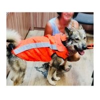 Защитный жилет для собак (корпус+перед.лапы) Защитный жилет для собак (корпус+перед.лапы)