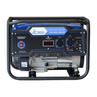 Бензогенератор TSS SGG 2800N