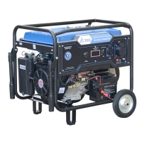 Бензогенератор TSS SGG 5000EHNA