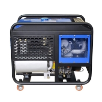 Дизель генератор TSS SDG 10000EH