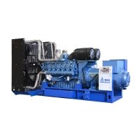 Купить Дизельный генератор ТСС АД-1000С-Т400-1РМ9 в 