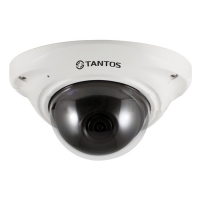 Купить Купольная IP-камера Tantos TSi-Dle22FP (3.6) в 