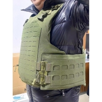 Жилет защитный Витязь