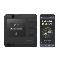 Точка доступа Iridium EXEC