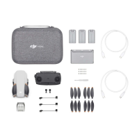 Квадрокоптер DJI Mavic Mini SE Fly More Combo