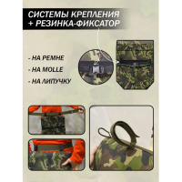 Пятиточечник