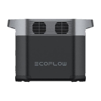 EcoFlow DELTA 2