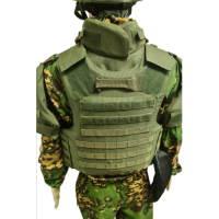 Жилет защитный Витязь ПРО