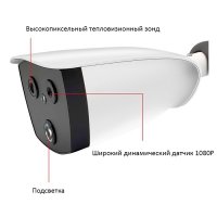 Тепловизионная IP камера TermoVision T103