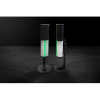 Пешеходный радиационный монитор ПРМ-21 Купить Пешеходный радиационный монитор ПРМ-21 в