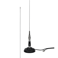 Купить Антенна автомобильная Racio Antenna MR101SV в Москве с доставкой по всей России