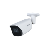 Купить DH-IPC-HFW3441EP-S-0280B-S2 в Москве с доставкой по всей России
